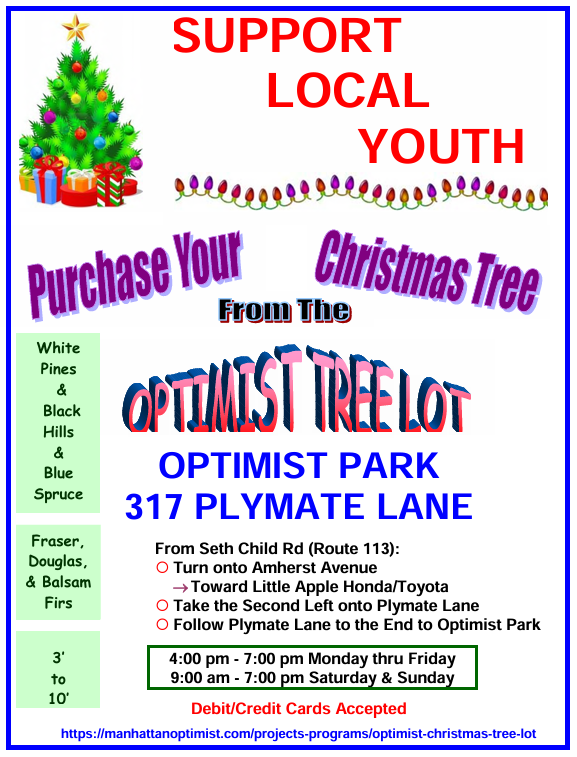 Tree Lot