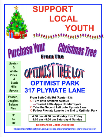 Tree Lot